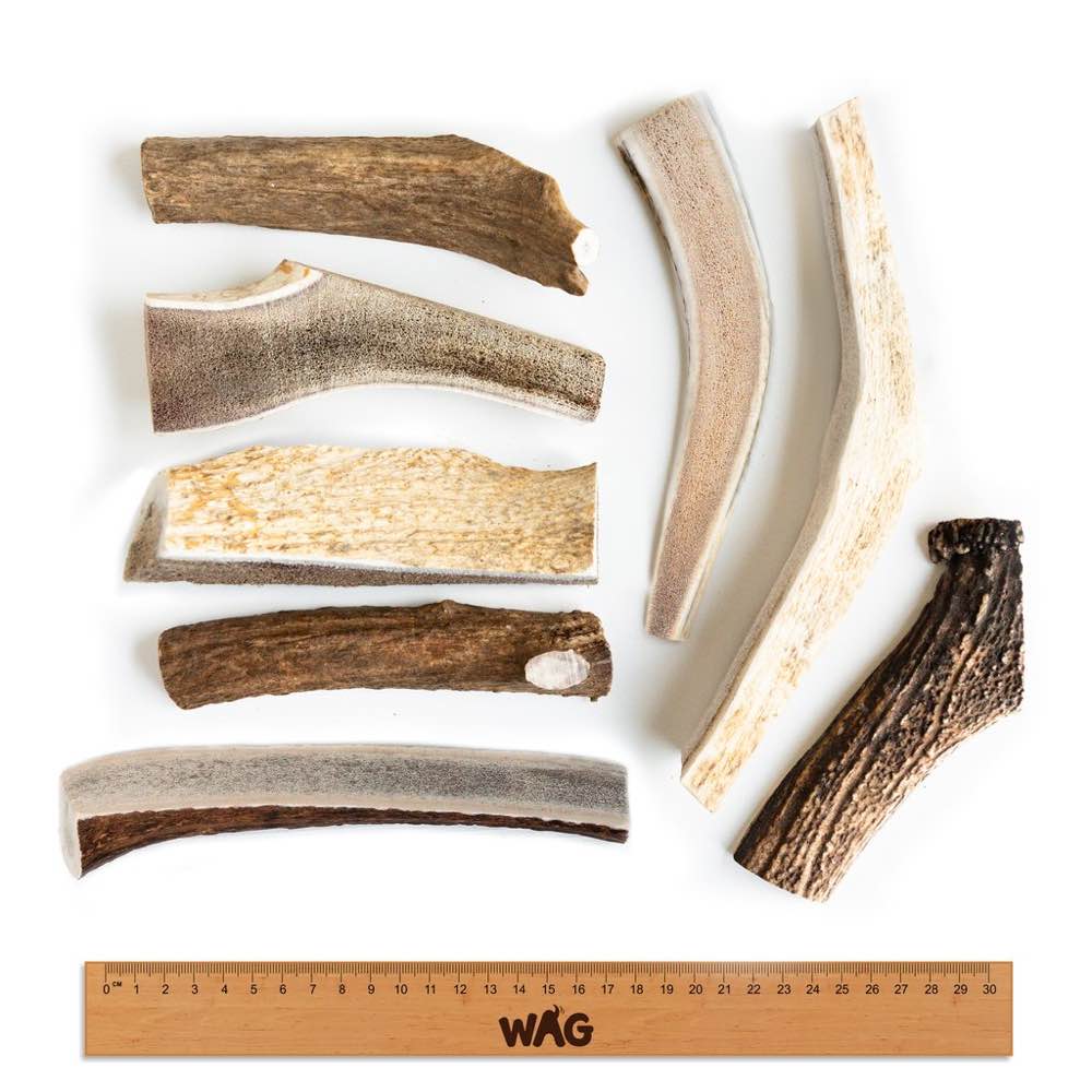 WAG Split Deer Antler Grain-Free Dog Treat