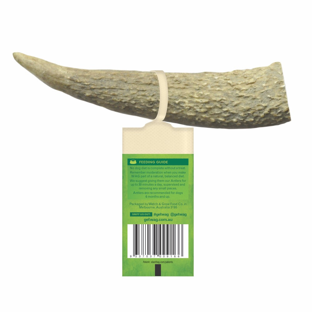WAG Whole Deer Antler Grain-Free Dog Treat